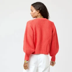 Alaina Cardigan~ Lobster