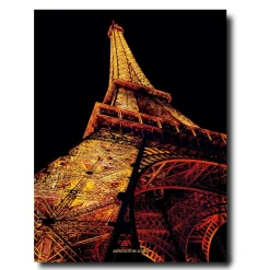 Paris Chic